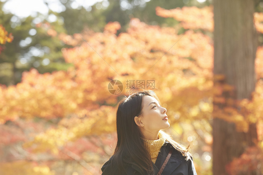 年轻女人观赏秋天枫叶图片