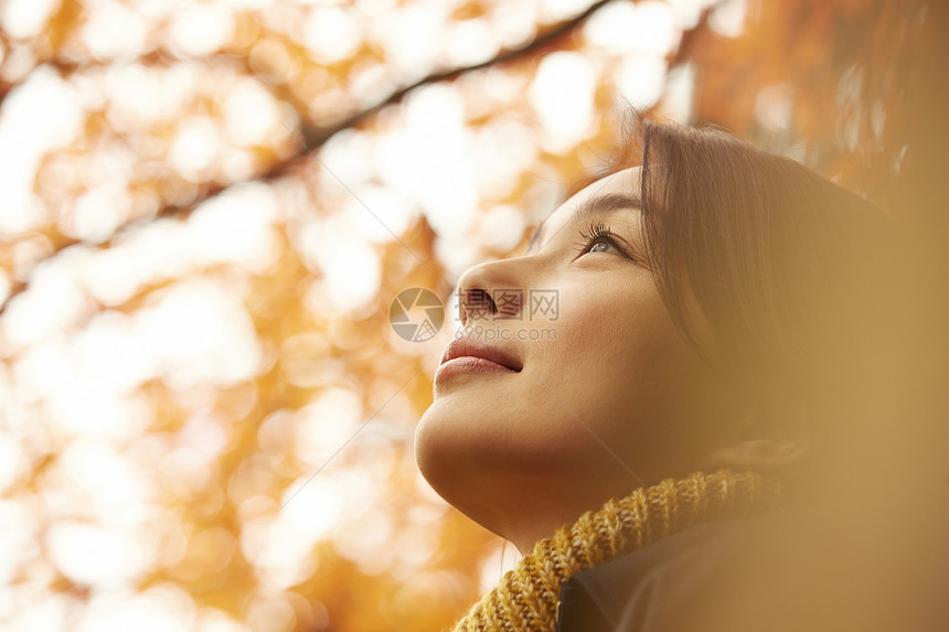 年轻女人观赏秋天枫叶图片