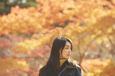 观赏枫叶红枫林下的漂亮美女背景