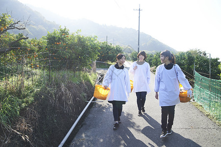 女孩拿果篮三个女人背着果篮走出水果种植园背景