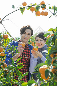 橘园果农夫妻形象图片