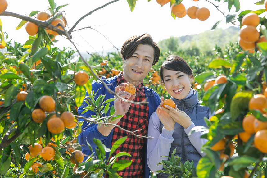 柑橘林里看着镜头微笑的夫妇图片