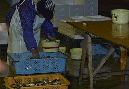 鱼市场工作的渔民们新鲜收获高清图片素材
