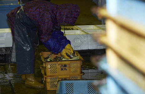 鱼市场工作的渔民们日本高清图片素材