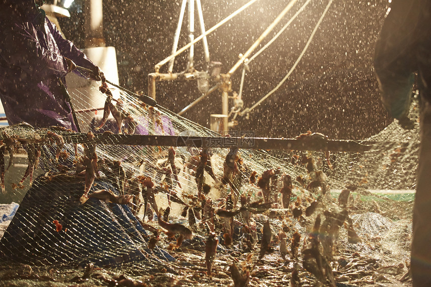 穿着雨披的渔夫拉着渔网图片