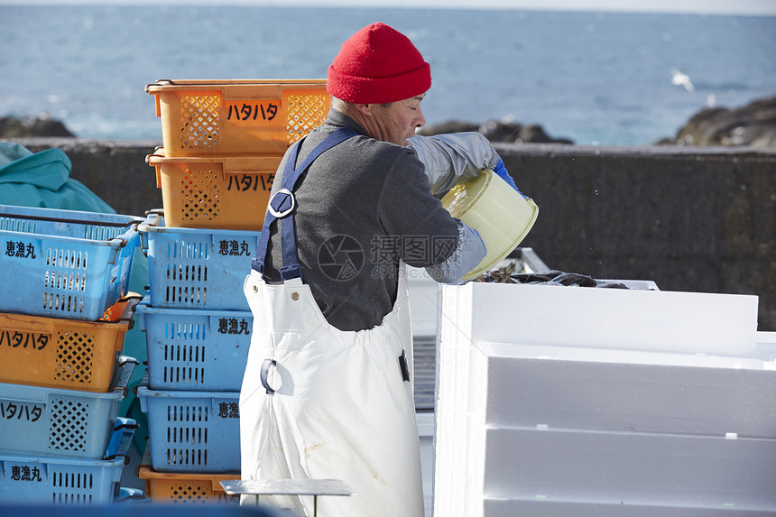 日本渔民正在运输海鲜图片