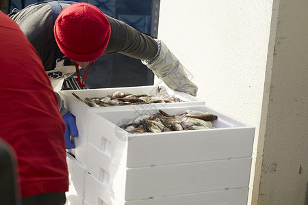 早晨准备在鱼市卖鱼的人日本叉牙鱼高清图片素材