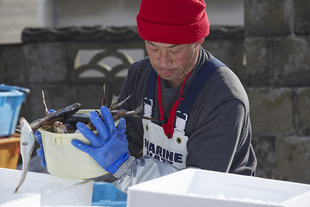 日本渔民正在从轻型卡车上取下海鲜工作高清图片素材