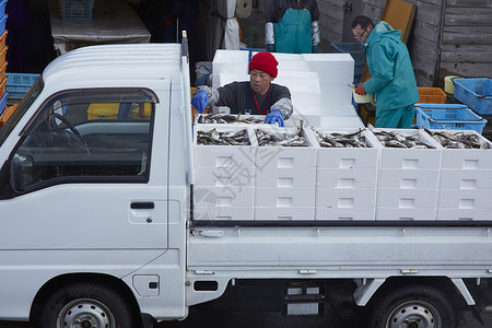 渔民给货车装运海鲜工人高清图片素材