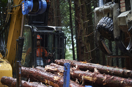 机动车辆重型机械孤独的林业日本高清图片素材