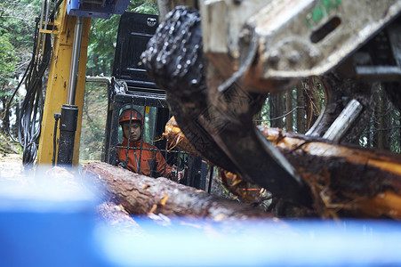 切碎的木头山阴地区林业蓝领工人高清图片素材