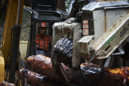 操作机器砍伐树木的工人木材高清图片素材