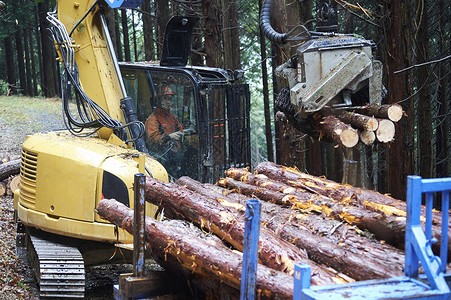 驾驶操作挖掘机搬运木材的工人孤独的高清图片素材