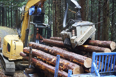 驾驶操作挖掘机搬运木材的工人树林高清图片素材