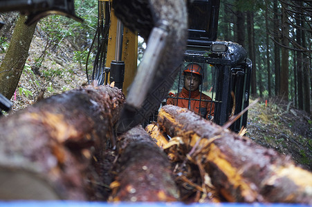 驾驶操作挖掘机搬运木材的工人蓝领工人高清图片素材