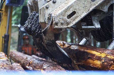 驾驶操作挖掘机搬运木材的工人记入高清图片素材