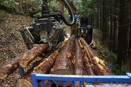 驾驶操作挖掘机搬运木材的工人运输工具高清图片素材