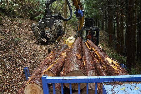 驾驶操作挖掘机搬运木材的工人雨高清图片素材