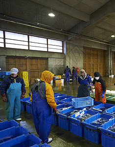 海鲜批发市场的渔民职业高清图片素材
