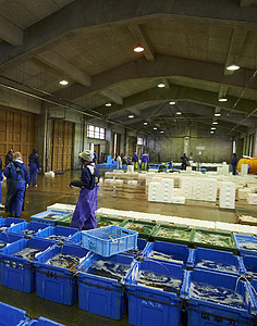 海鲜批发市场的渔民日本高清图片素材