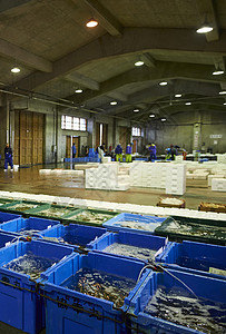 海鲜批发市场靠码头高清图片素材