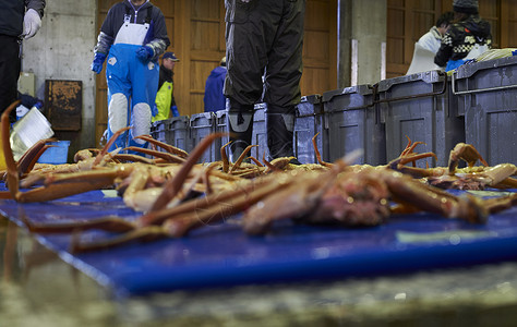 排列在地上的螃蟹清晨高清图片素材