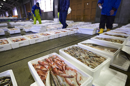排列整齐的泡沫箱里满满的海产品日本人高清图片素材