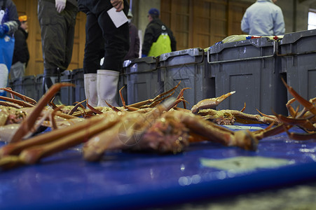 放在地上竞拍的大螃蟹清晨高清图片素材