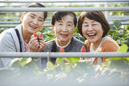 祖母房拿着草莓对着镜头微笑的老年姐妹背景