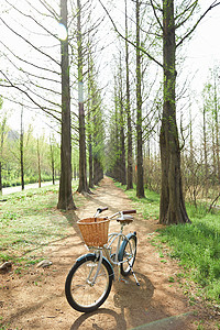 公园小道上的自行车图片