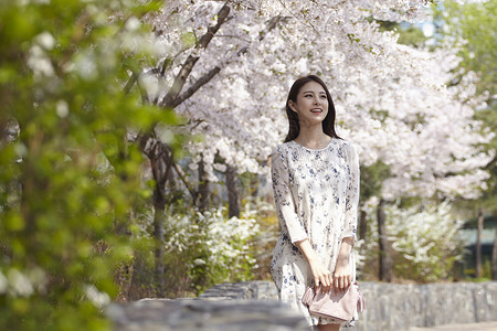 站在樱花树下拿着手提包微笑的女大学生图片