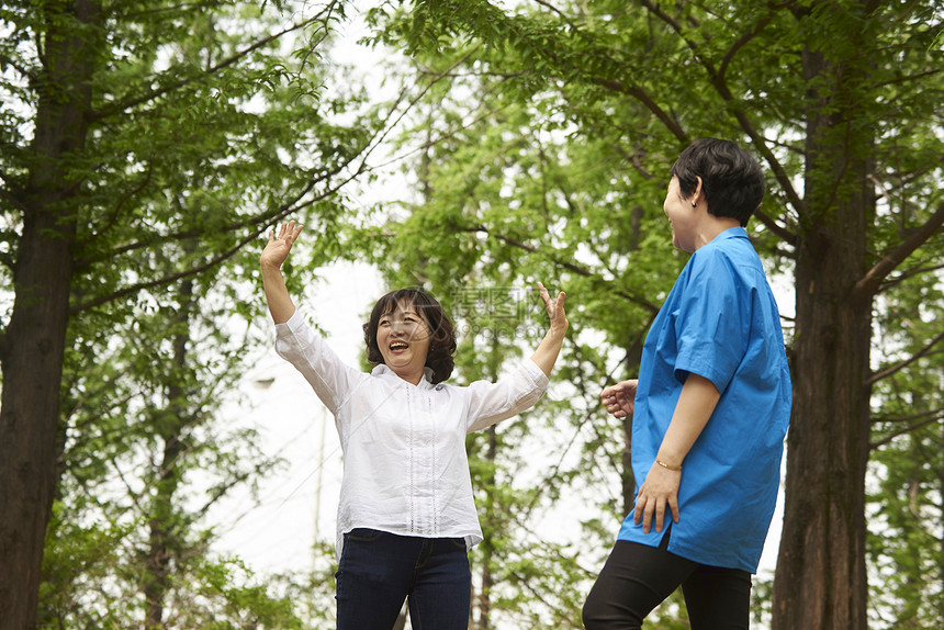 秘书树朋友女孩校友图片