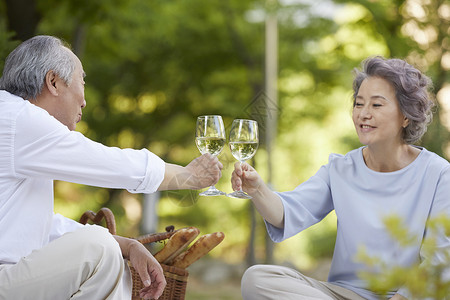 户外野餐喝酒干杯的老年夫妇图片