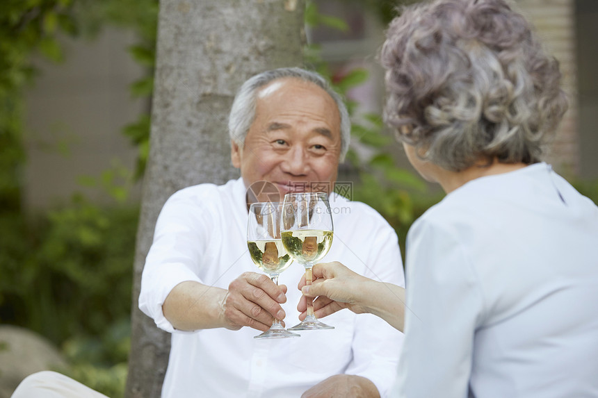 户外野餐拿着酒杯干杯的老年夫妇图片