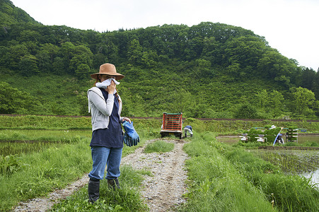 农业妇种植水稻过程中休息图片