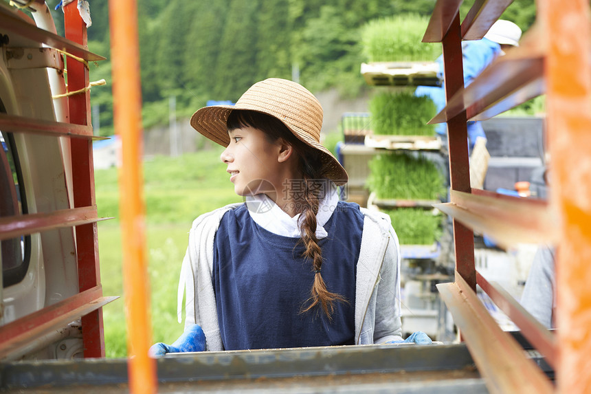 戴着草帽搬运水稻苗的年轻女性图片