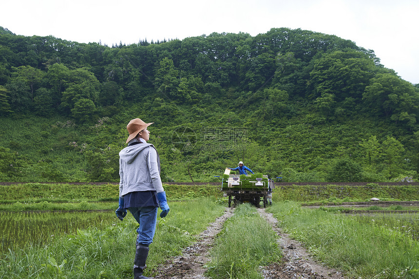 种植水稻在田地里休息的年轻农民图片