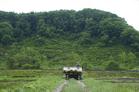 男人操作水稻种植机图片