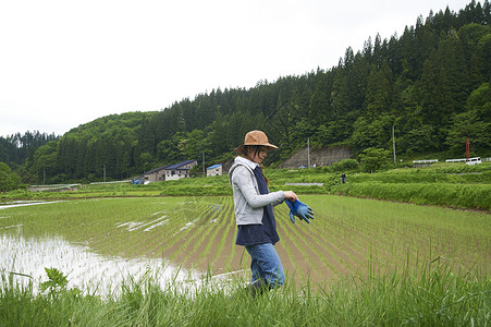 种植水稻后在田里休息的年轻农民图片