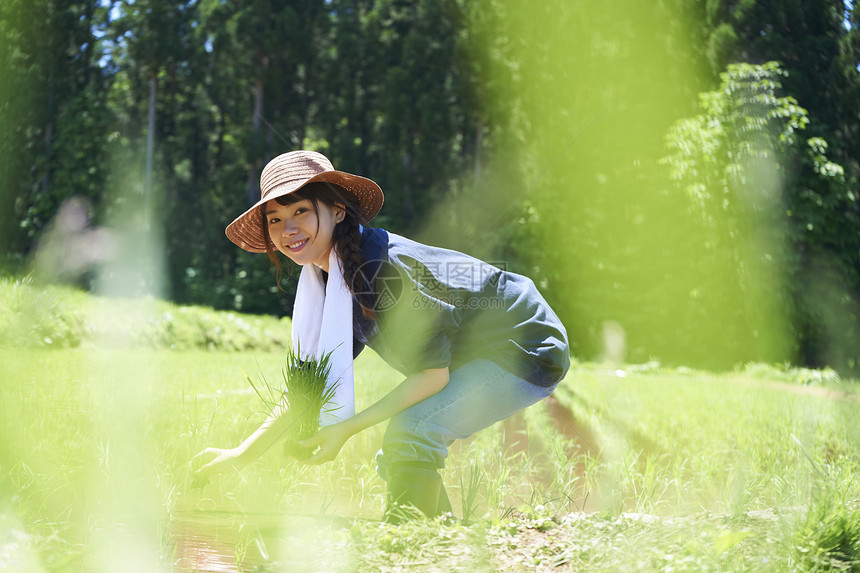 田野里一个女人种植水稻图片