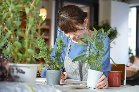 花店内种植盆栽的女人图片