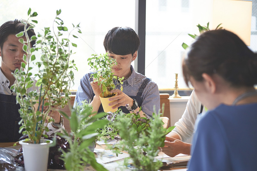 课堂上种植盆栽的学生们图片