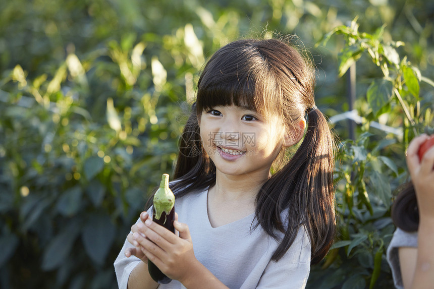 儿童手里拿着茄子和农产品图片