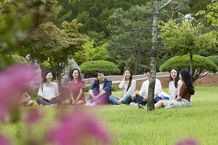 校园草坪上聊天的大学生图片