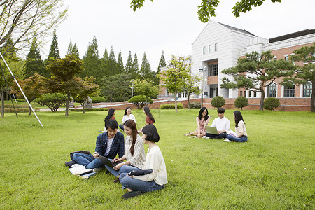 户外草坪上看笔记本电脑探讨学习的大学生图片