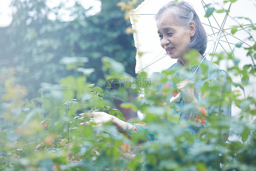 拿着一把伞的老年妇女在庭院里图片