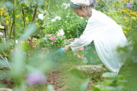 庭院里种花的老妇人图片