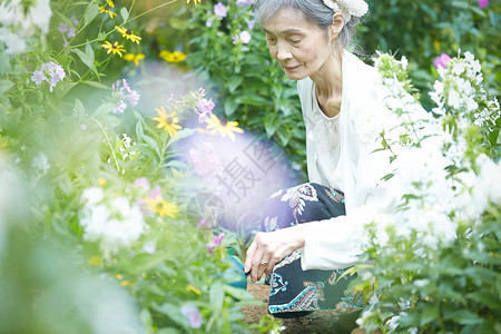 庭院里浇花的老年女性图片素材