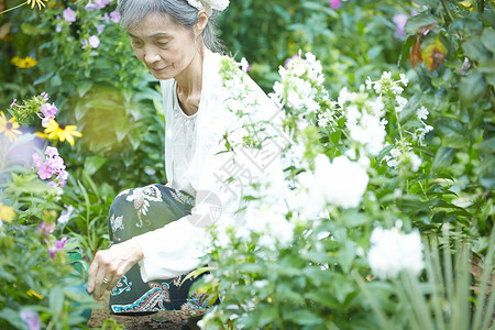 庭院里种花的老年女性图片