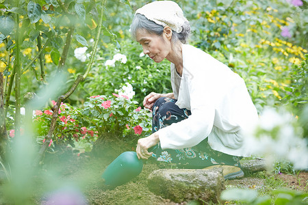 庭院里种花施肥的老年人图片素材